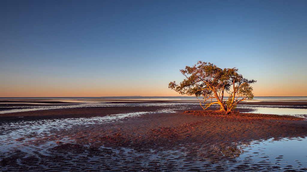 An landscape photograph of a lone tree on Nudgee Beach, Australia - Landscape photography ideas by James Partridge.